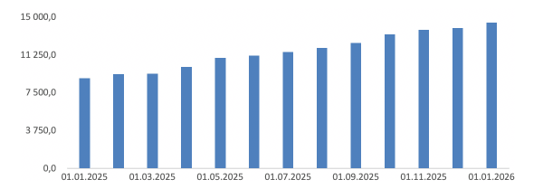 Figure 1. International reserve assets of the Republic of Belarus in 2025, USD million